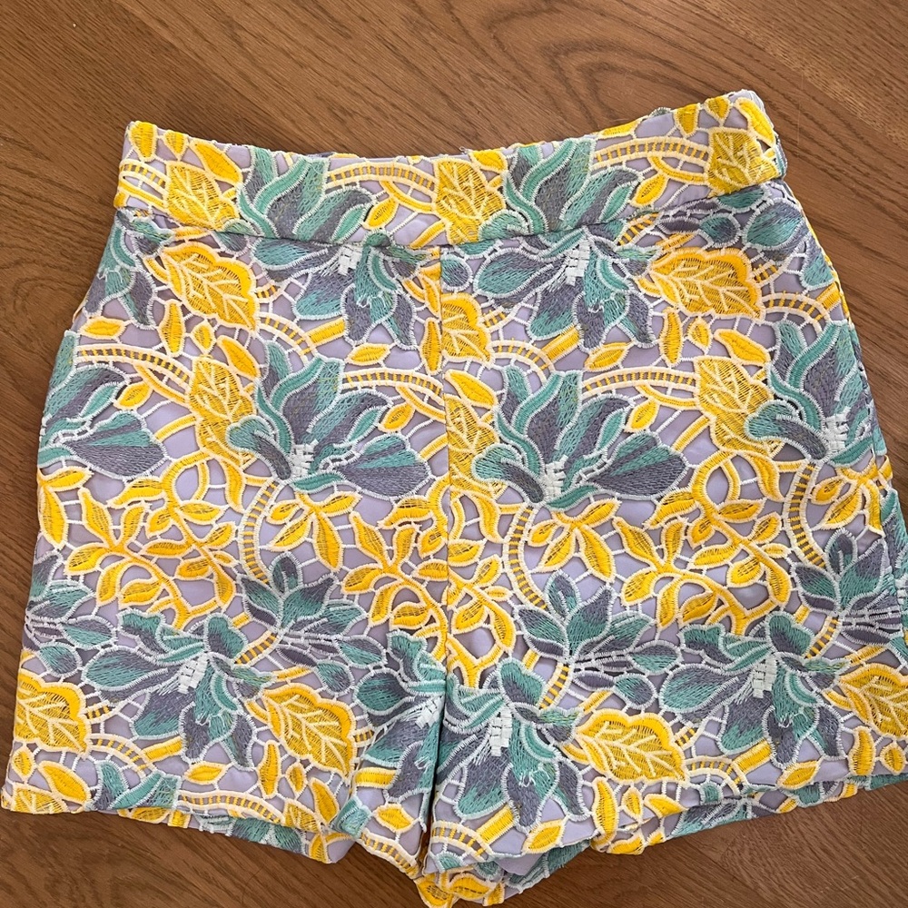 NWT Anthropologie |  High Wasted Lace Pastel Floral Print Shorts Size 10